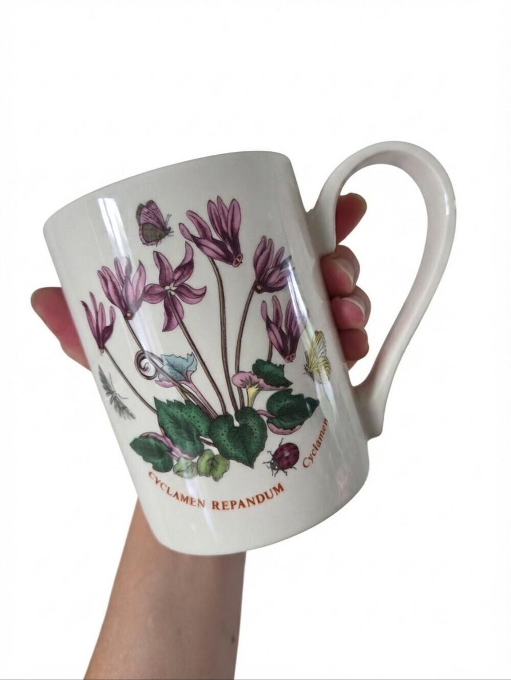 Vintage Portmeirion Botanic Garden Cyclamen Repandum Mug Made in England Susan W